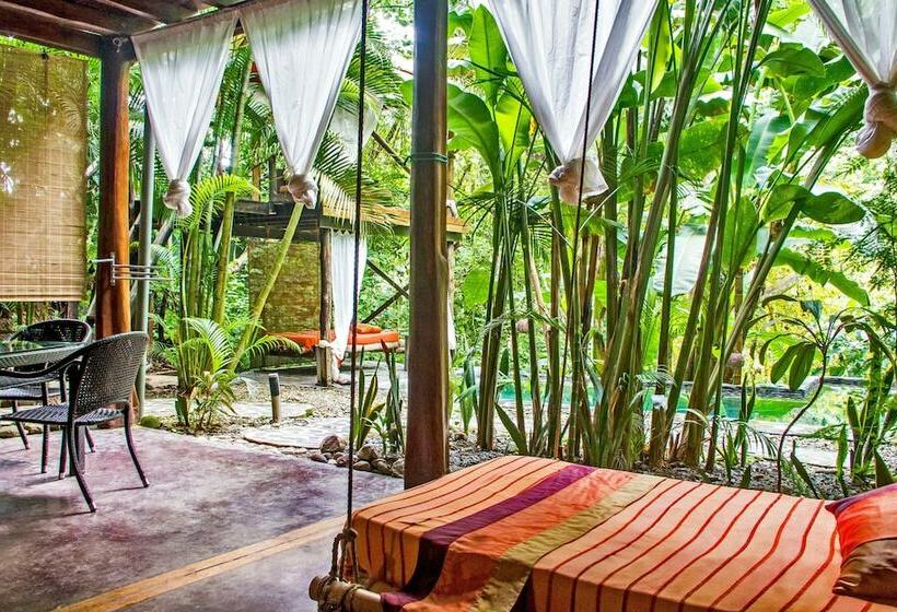 جناح, Canaima Chill House