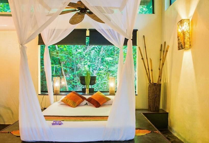 جناح, Canaima Chill House