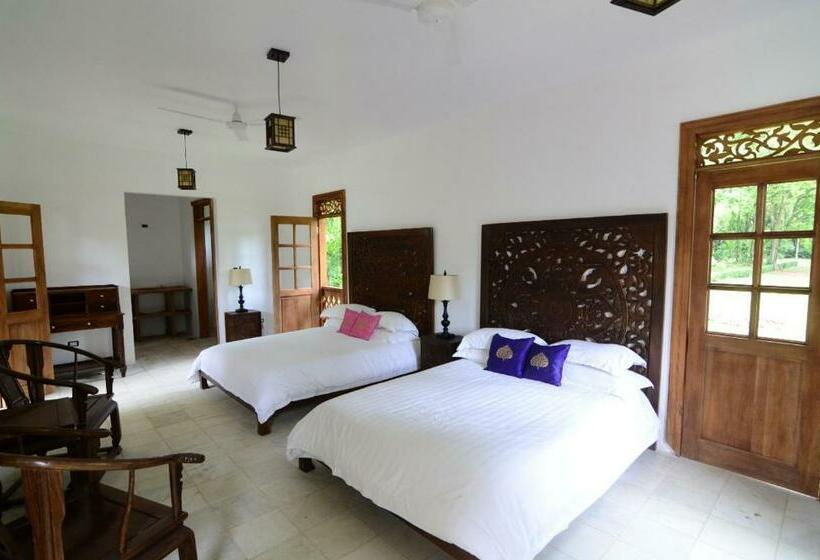 スタンダードインサイドビュールーム, Lanna Ban