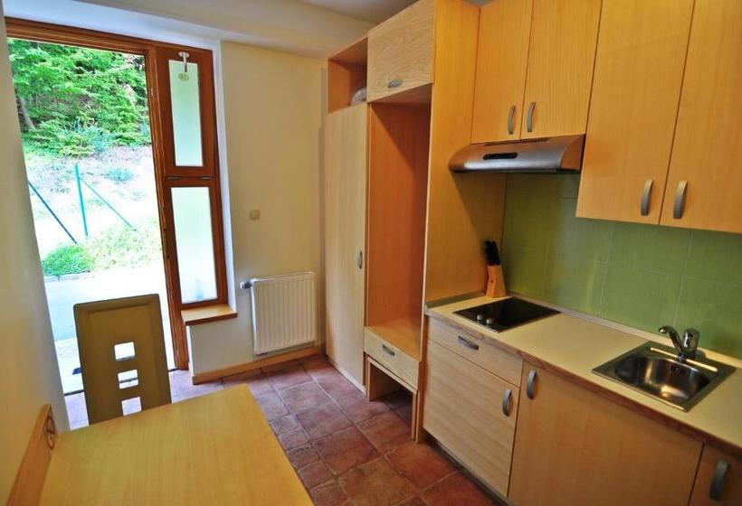 استودیوی استاندارد, Natura Amon