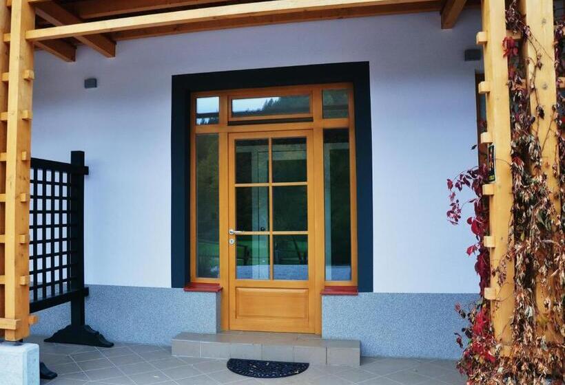 اتاق اکونومی, Natura Amon