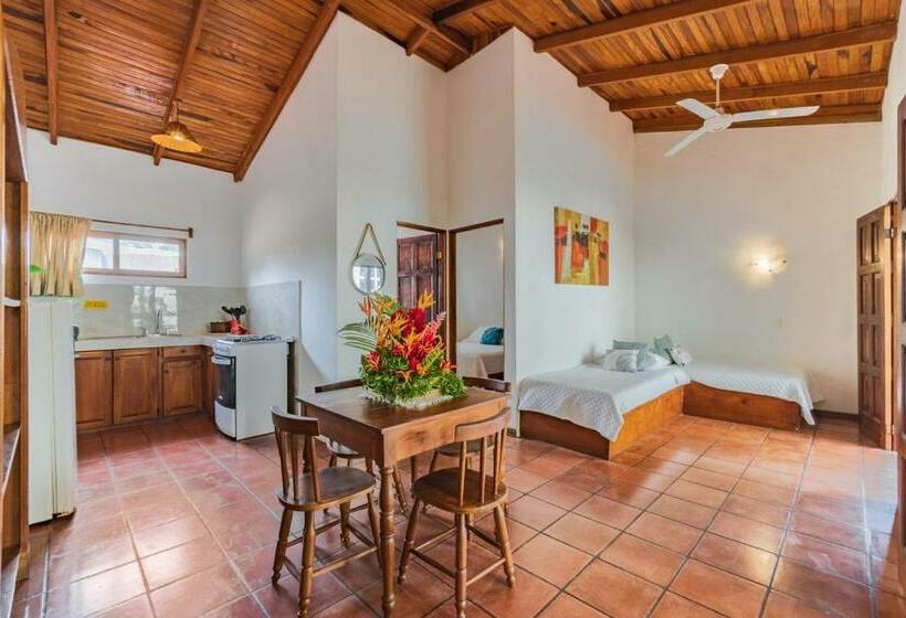 带1个卧室的公寓, Ola Bonita Beachfront Apart