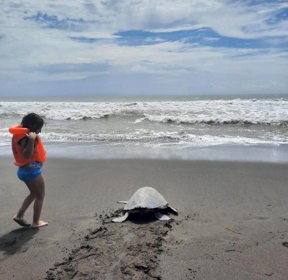 스탠다드 스튜디오, Ola Bonita Beachfront Apart