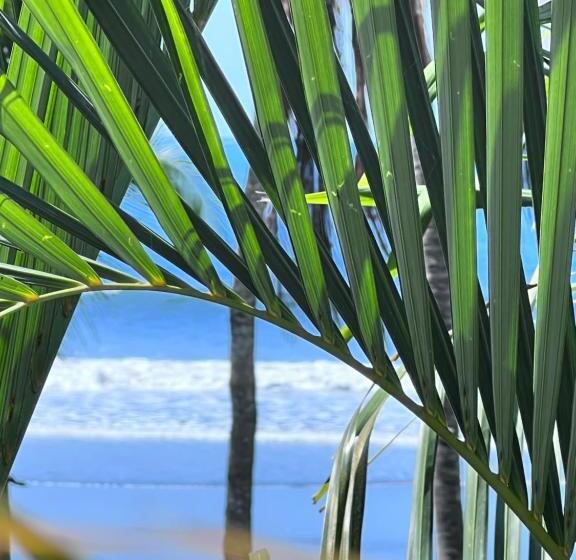 إستوديو قياسى, Ola Bonita Beachfront Apart