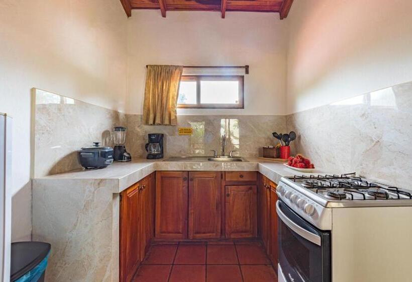 شقة غرفة واحدة, Ola Bonita Beachfront Apart