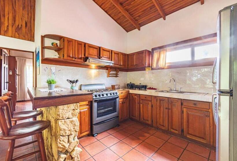 带1个卧室的公寓, Ola Bonita Beachfront Apart