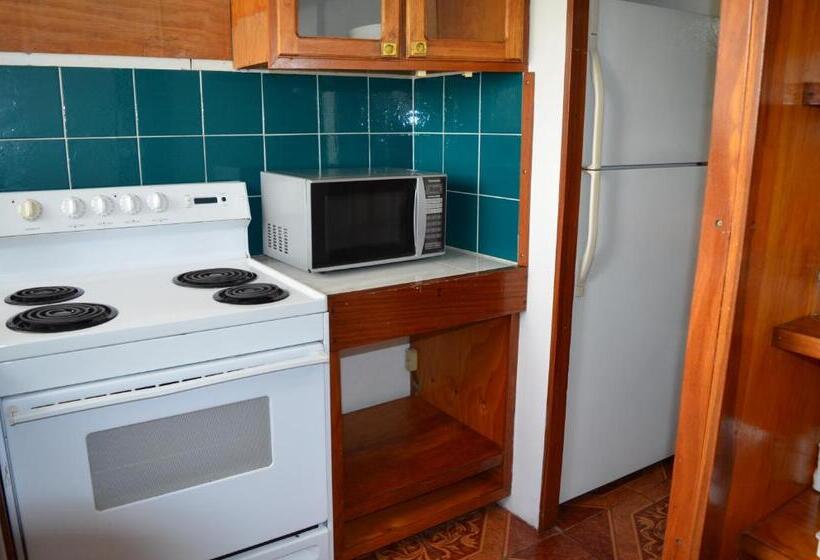 Апартаменты Пентхаус 1 Спальня, Sportsmens Lodge