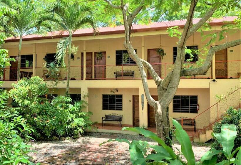 غرفة قياسية, Tropical Sands Dominical