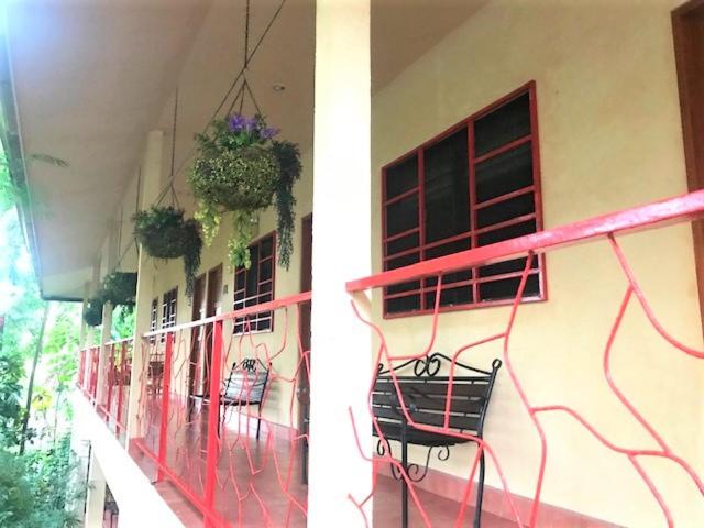 غرفة قياسية, Tropical Sands Dominical