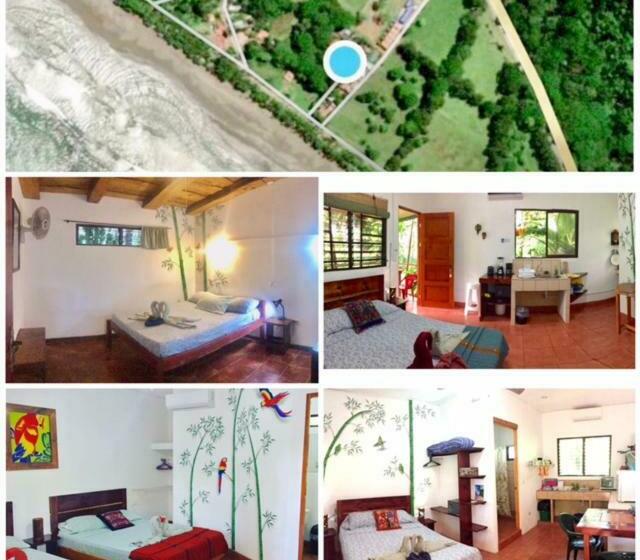 غرفة قياسية, Tropical Sands Dominical