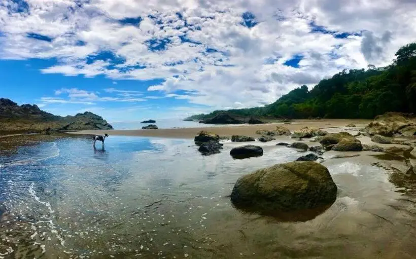 Huoneisto 1 Makuuhuone, Tropical Sands Dominical