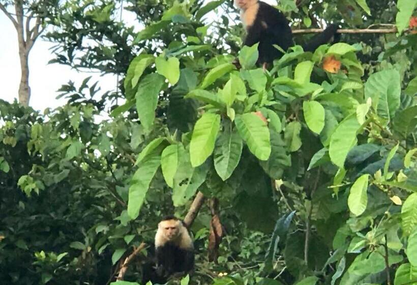 منزل غرفتين نوم, Tropical Sands Dominical