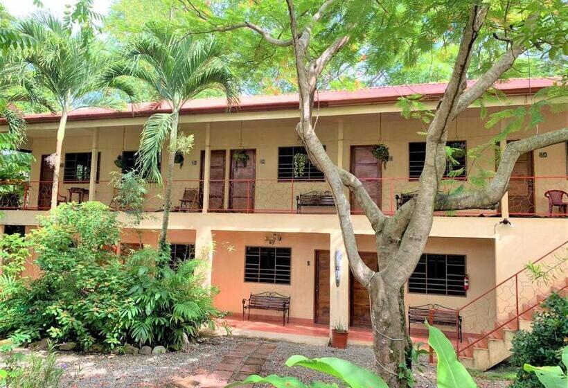 غرفة قياسية, Tropical Sands Dominical