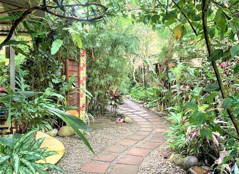 غرفة قياسية, Tropical Sands Dominical