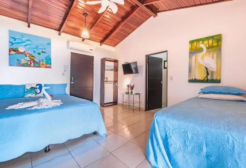 オーシャンビュースーペリアールーム, Villas De La Selva