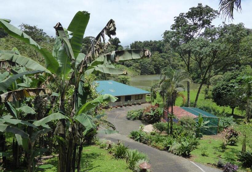 Стандартный Номер Кровать Кинг, Lucky Bug Bed And Breakfast