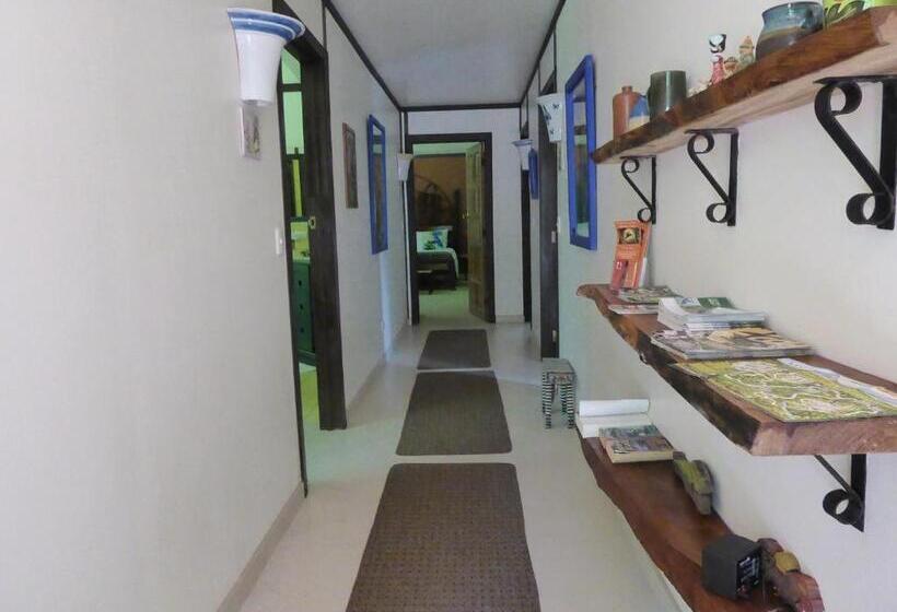 스탠다드 룸, Lucky Bug Bed And Breakfast