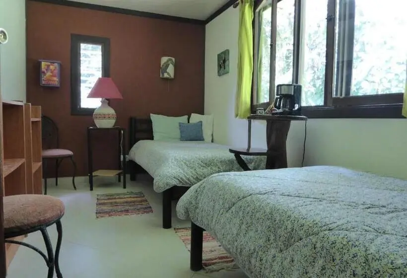 Standard-huone, Lucky Bug Bed And Breakfast