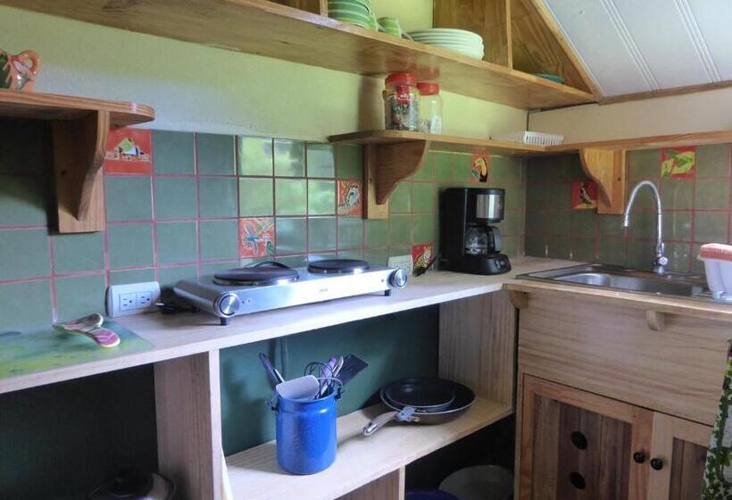 Люкс Повышенной Комфортности, Lucky Bug Bed And Breakfast