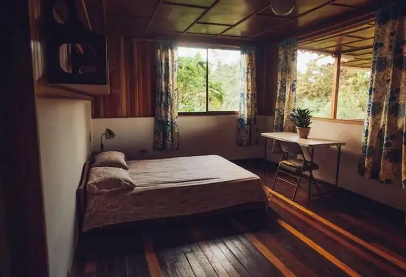 スタンダード4人部屋, Spanish By The River Turrialba
