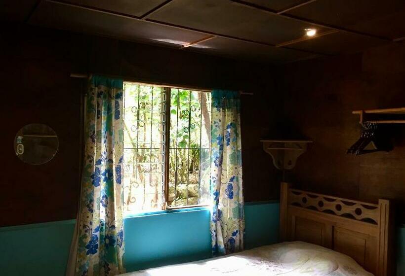 اتاق استاندارد, Spanish By The River Turrialba