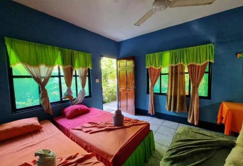 Standard Neljän Hengen Huone, Cabinas Tortuguero Natural
