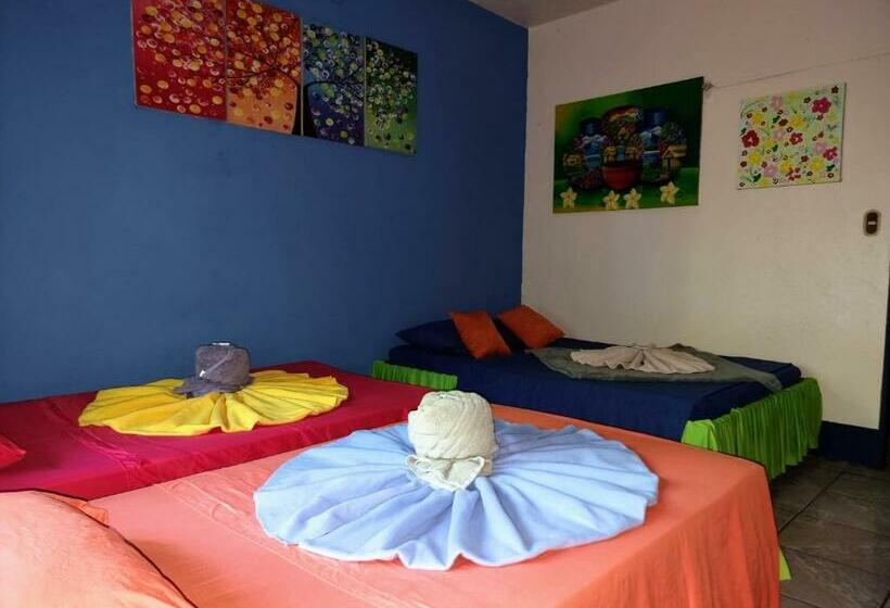 Четырехместный Номер Стандарт, Cabinas Tortuguero Natural