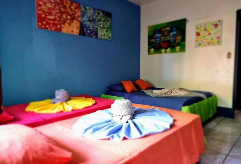 四人标准间, Cabinas Tortuguero Natural