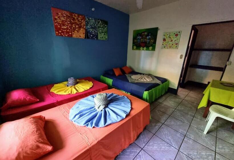 四人标准间, Cabinas Tortuguero Natural