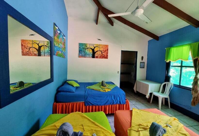 四人标准间, Cabinas Tortuguero Natural