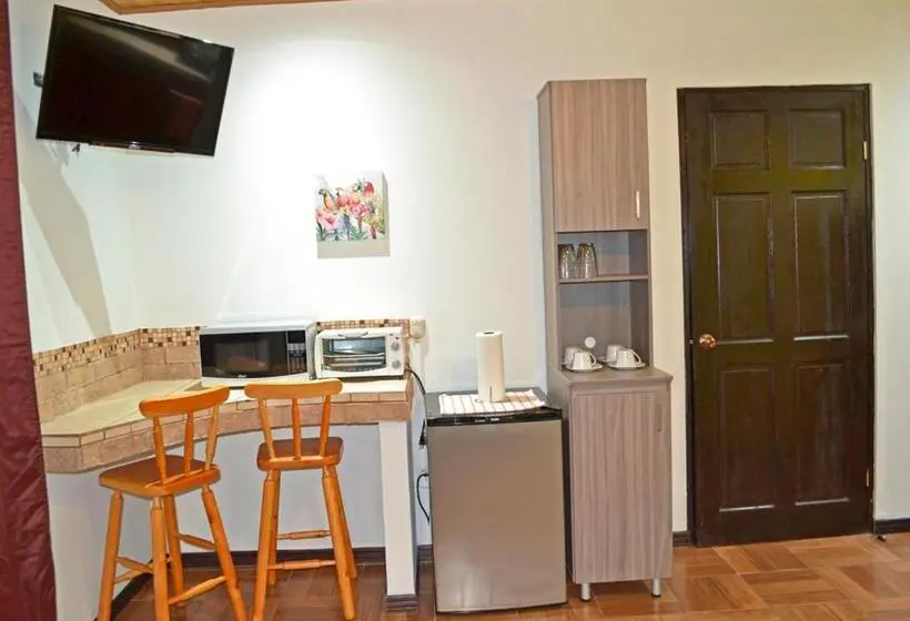 استودیو استاندارد با چشم‌انداز باغ, Casa Tropical