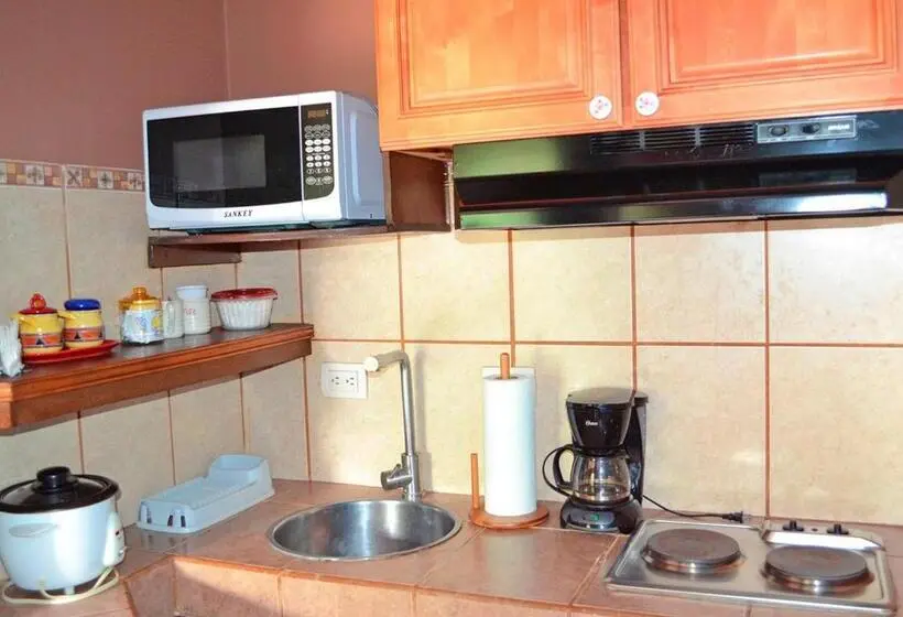 استودیو استاندارد با چشم‌انداز باغ, Casa Tropical