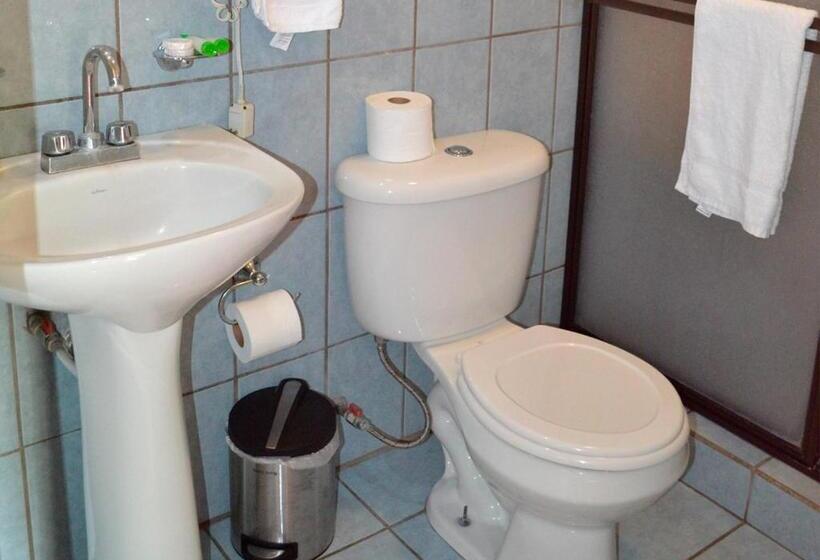 إستوديو قياسى مطلّ علي الحديقة, Casa Tropical