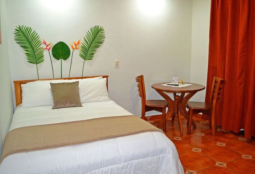 Habitación Individual Vista Jardín, Casa Tropical