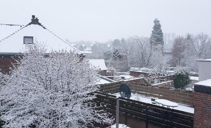 חדר סטנדרט, De Zevende Hemel