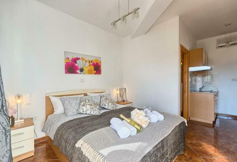 Студио Стандарт Вид на Сад, Villa Mihaela