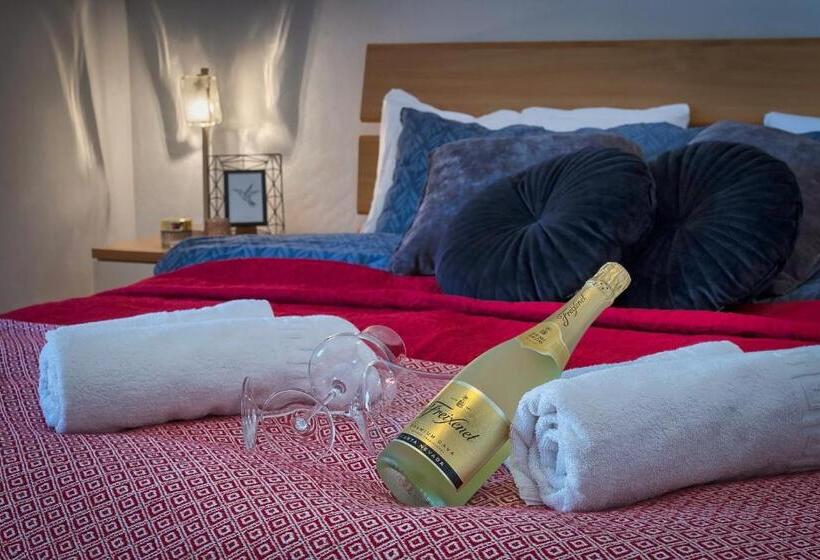 Студия Стандарт, Villa Mihaela