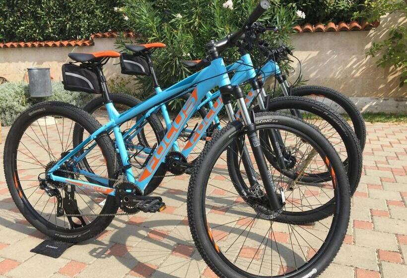 Студио Стандарт с Террасой, Villa Mihaela