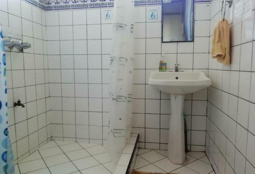 سرير فى غرفة مشتركه, In The Wind Hostel And Guesthouse