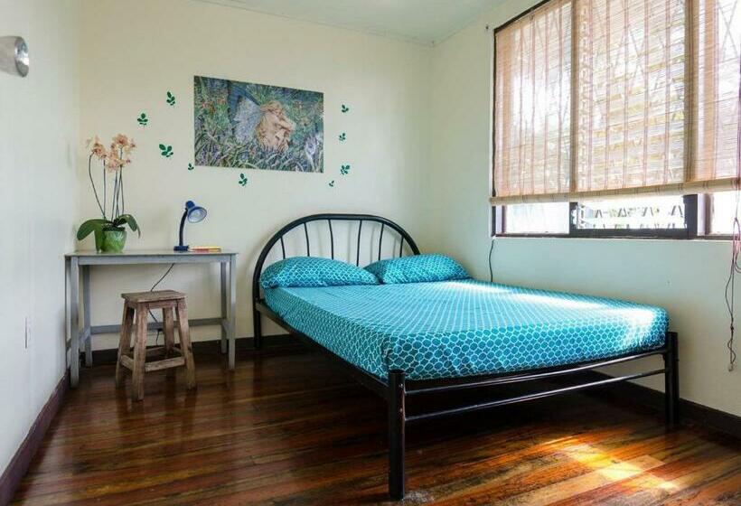 غرفة قياسية حمام مشترك, In The Wind Hostel And Guesthouse