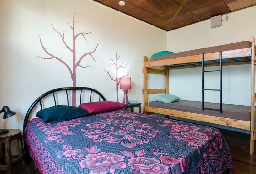 غرفة قياسية, In The Wind Hostel And Guesthouse