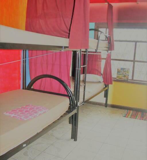 سرير فى غرفة مشتركه, In The Wind Hostel And Guesthouse