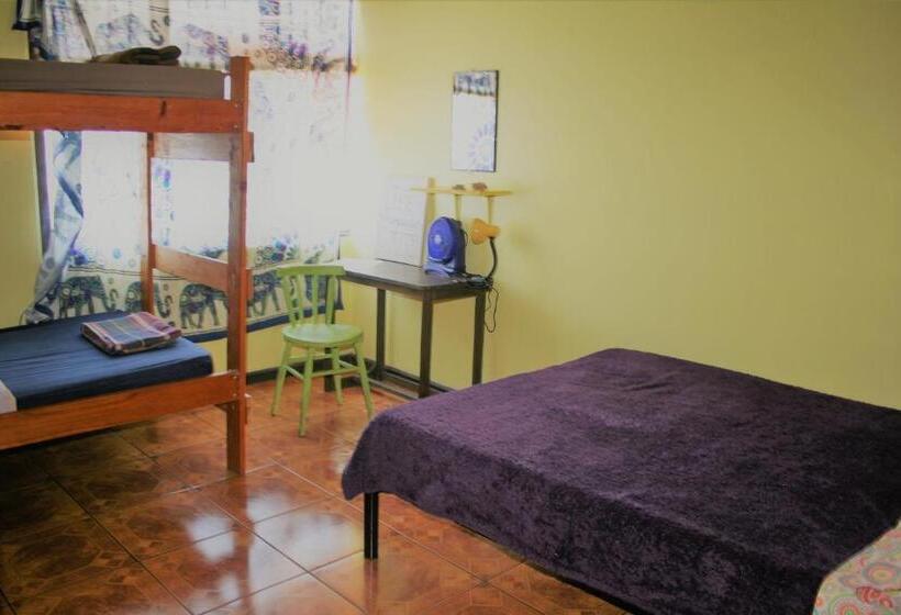 غرفة عائلية حمام مشترك, In The Wind Hostel And Guesthouse