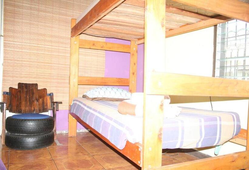 غرفة عائلية حمام مشترك, In The Wind Hostel And Guesthouse