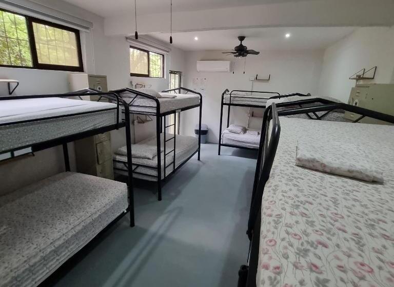 共用房间的床, Casa Pura Vida Surf Hostel   Tamarindo Costa Rica
