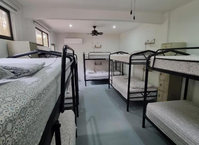 共用房间的床, Casa Pura Vida Surf Hostel   Tamarindo Costa Rica