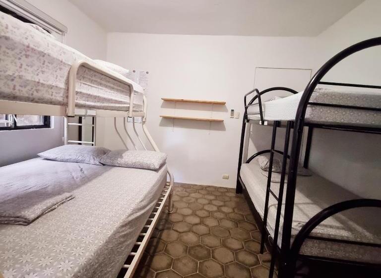 四人标准间, Casa Pura Vida Surf Hostel   Tamarindo Costa Rica