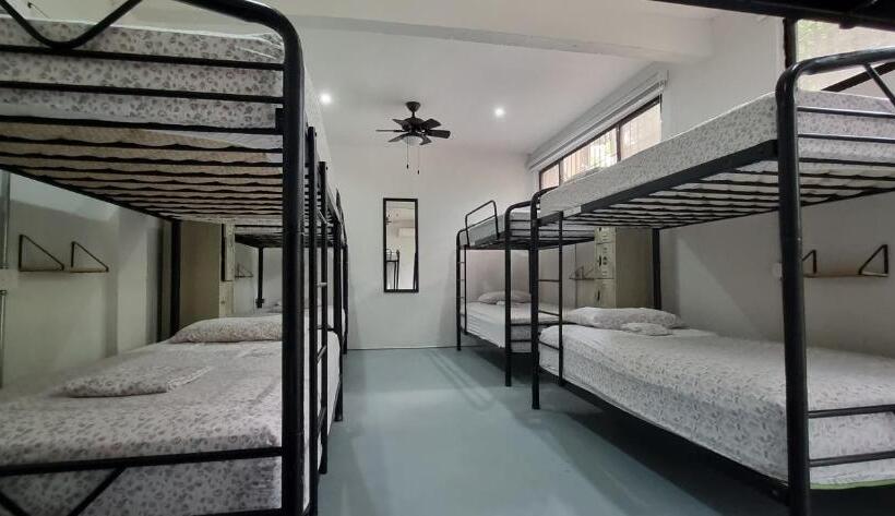 تختخواب در اتاق مشترک, Casa Pura Vida Surf Hostel   Tamarindo Costa Rica