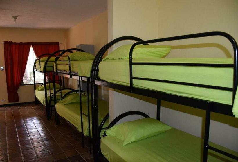 共用房间的床, Casa Pura Vida Surf Hostel   Tamarindo Costa Rica