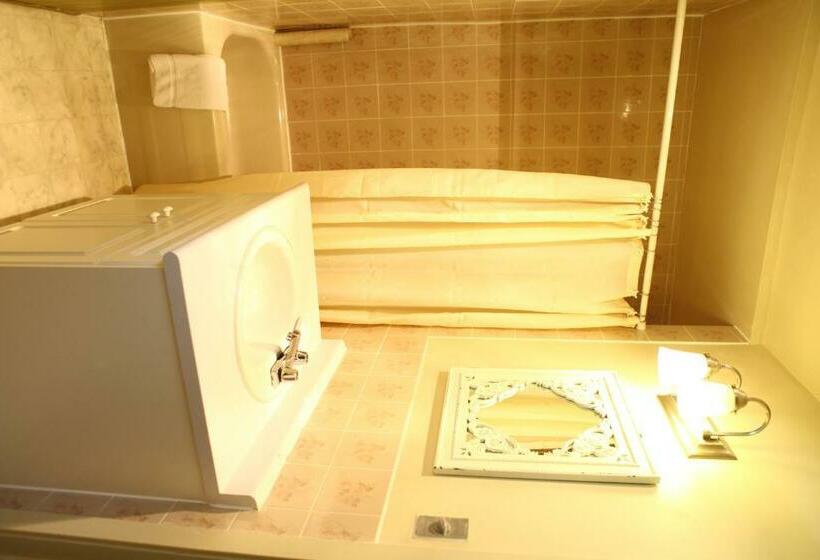 חדר סטנדרט, Swiss Chalets Motel